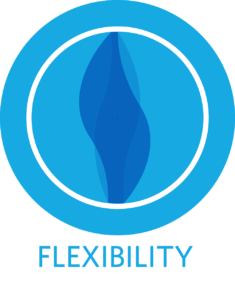 flexibility